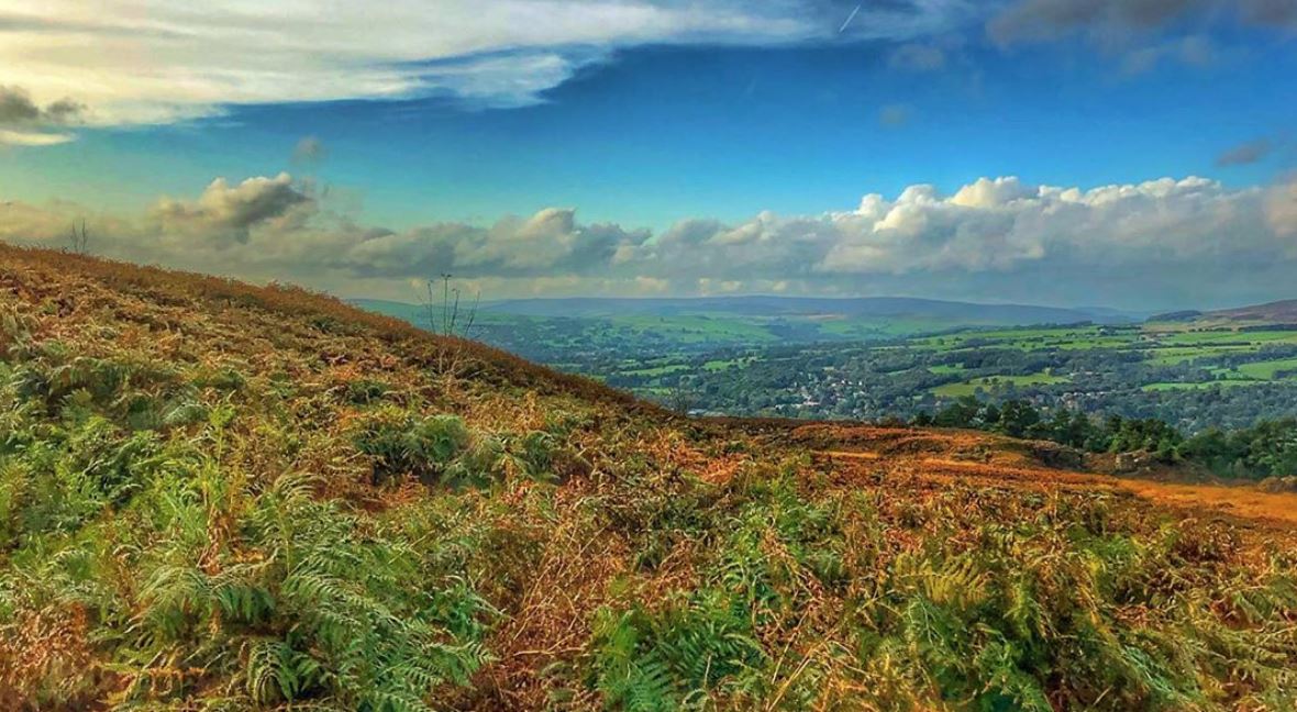 Appreciate your surroundings for National Walking Month